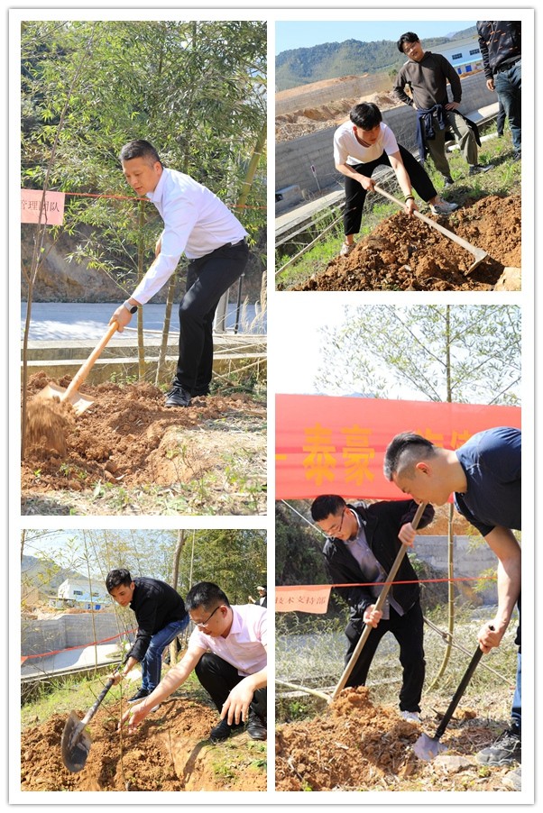 泰豪拉斯维加斯3499官网2022植树节-拼图2_副本.jpg